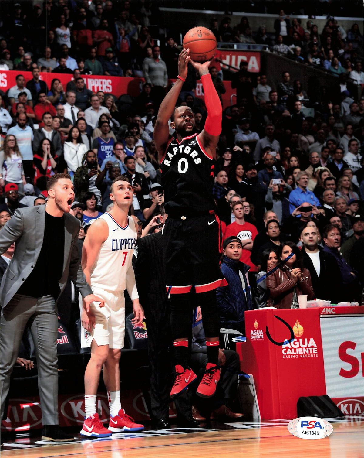 CJ MILES Signed 8x10 photo PSA/DNA Toronto Raptors Autographed