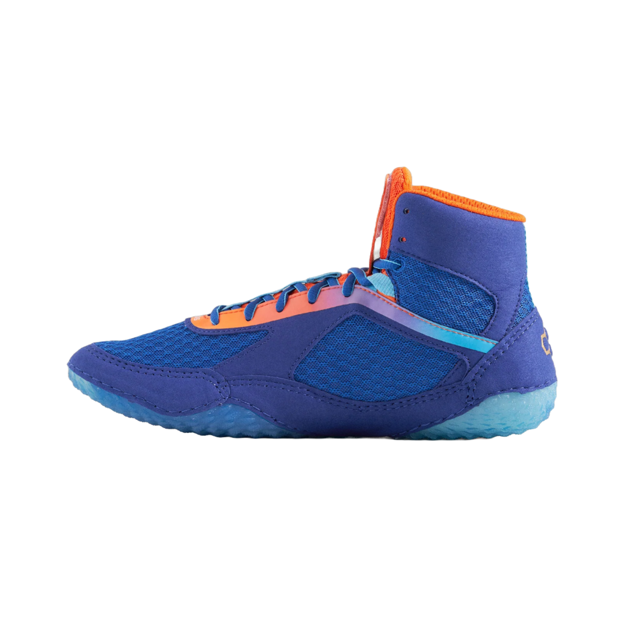 jordan trainer wrestling shoes