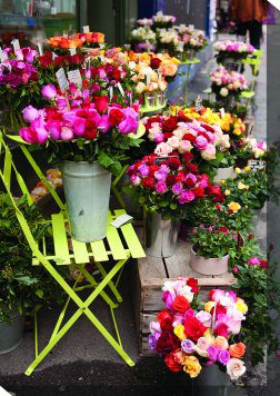 Au Nom de la Rose Outdoor Canvas Wall Art