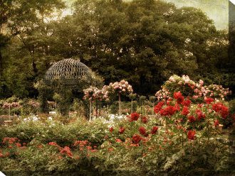 Garden Gazebo Outdoor Canvas Wall Art