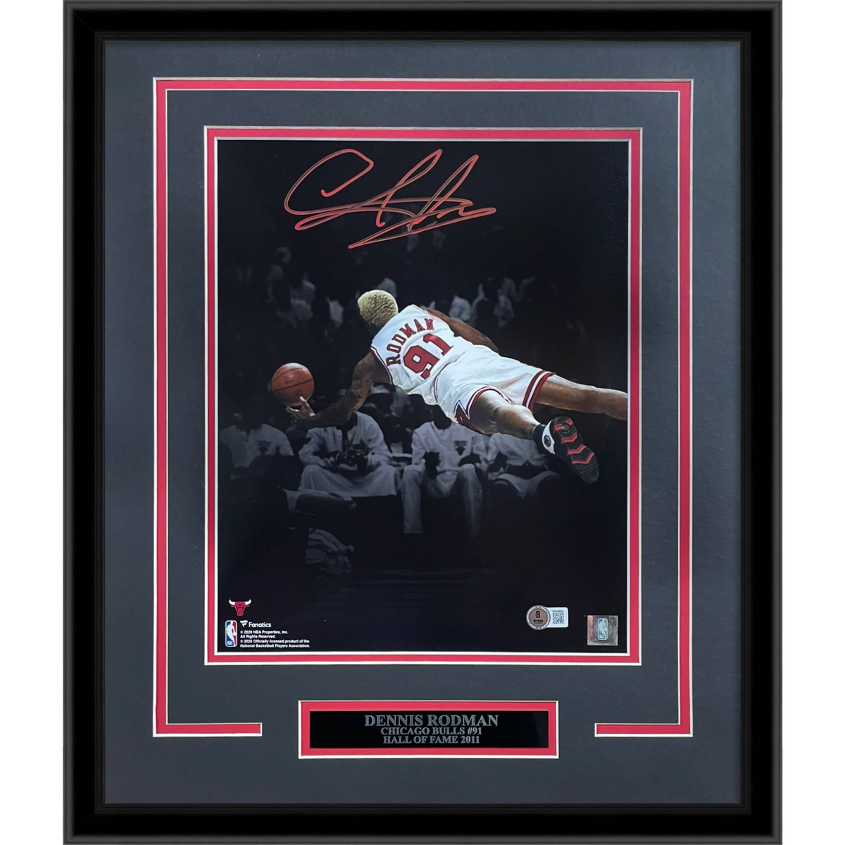 Dennis Rodman Autographed Chicago Bulls (Spotlight Dive) Deluxe Framed 11x14 Photo - JSA