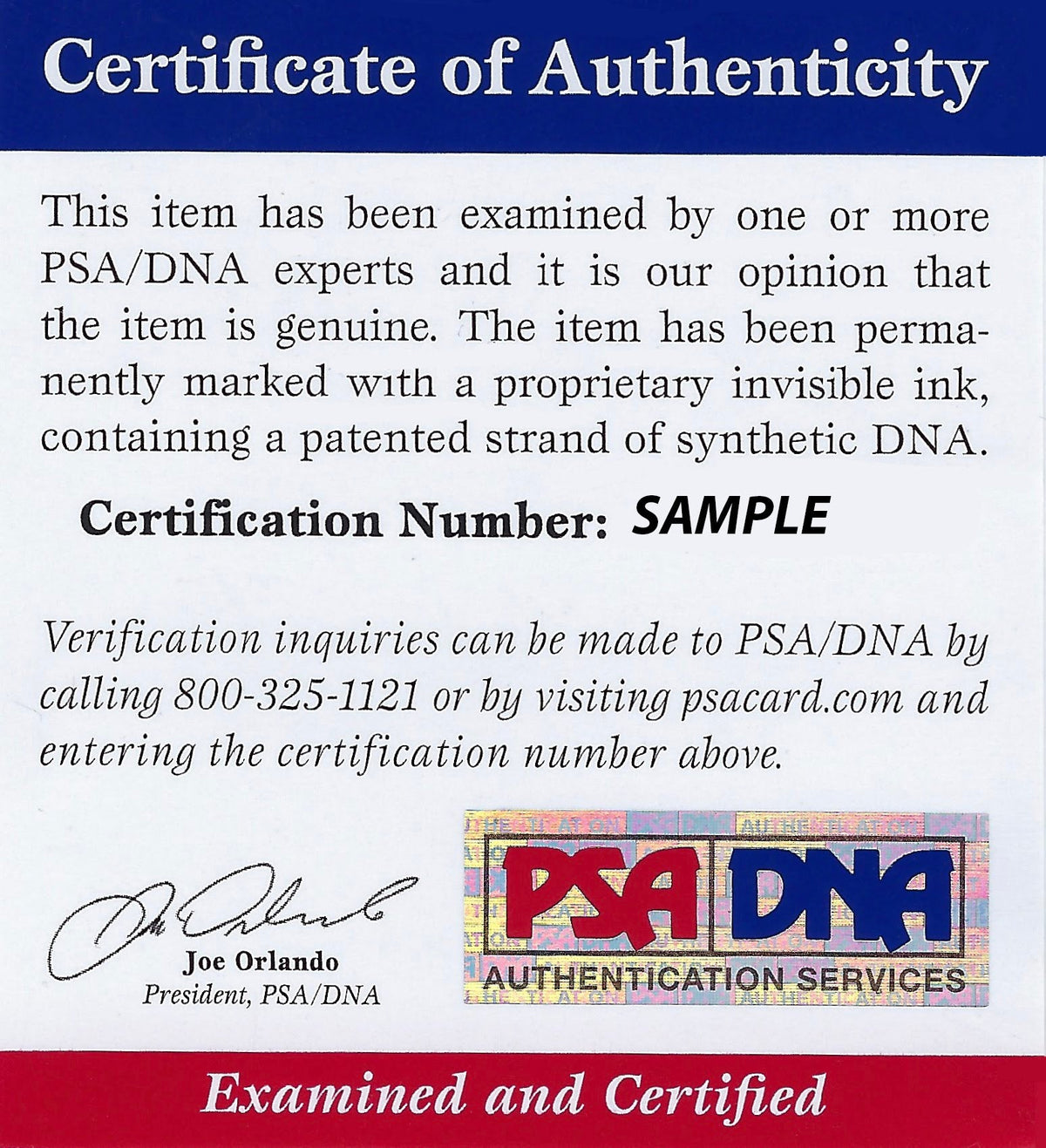 PSA/DNA Authentication Submission - $25 fee