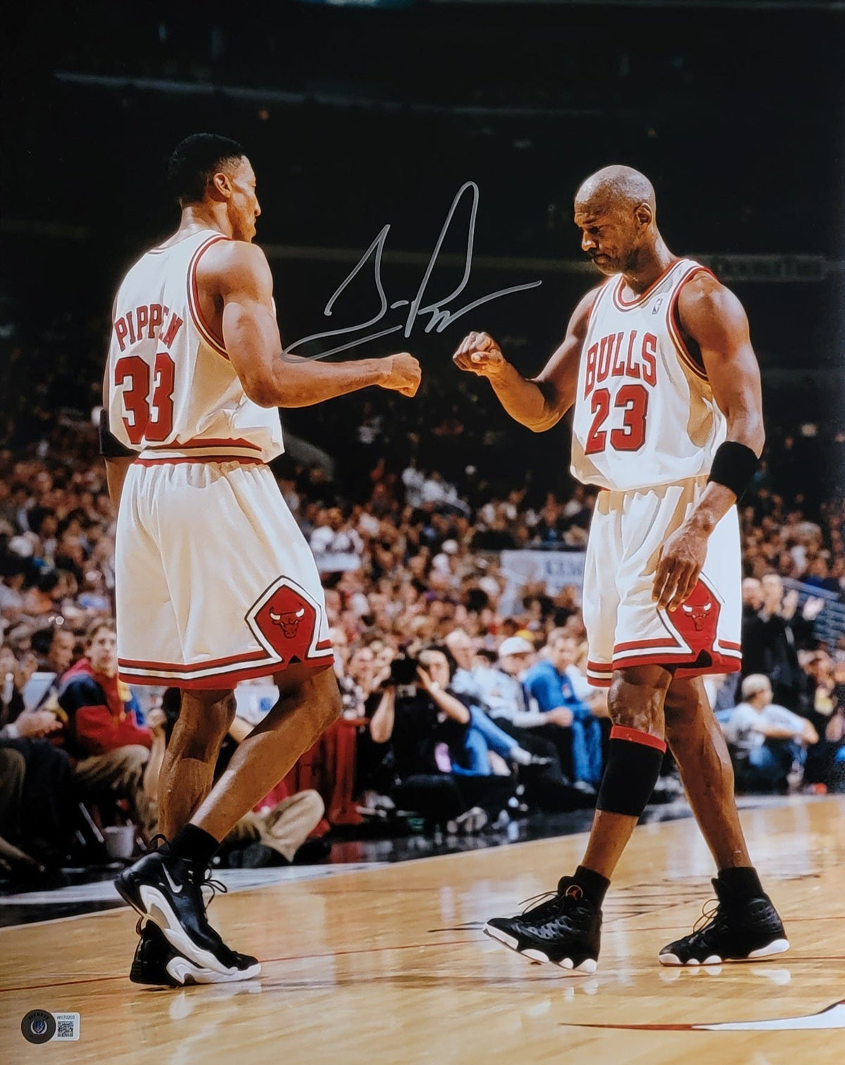 Scottie Pippen Autographed Chicago Bulls with Michael Jordan 16X20 Photo Beckett Witnessed