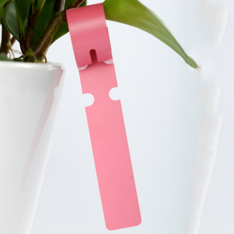 100 PCS Gardening Plant Sapling Seed Hanging Tree Label, Plant Label 5 White, Plant Label 5 Pink, Plant Label - View 3