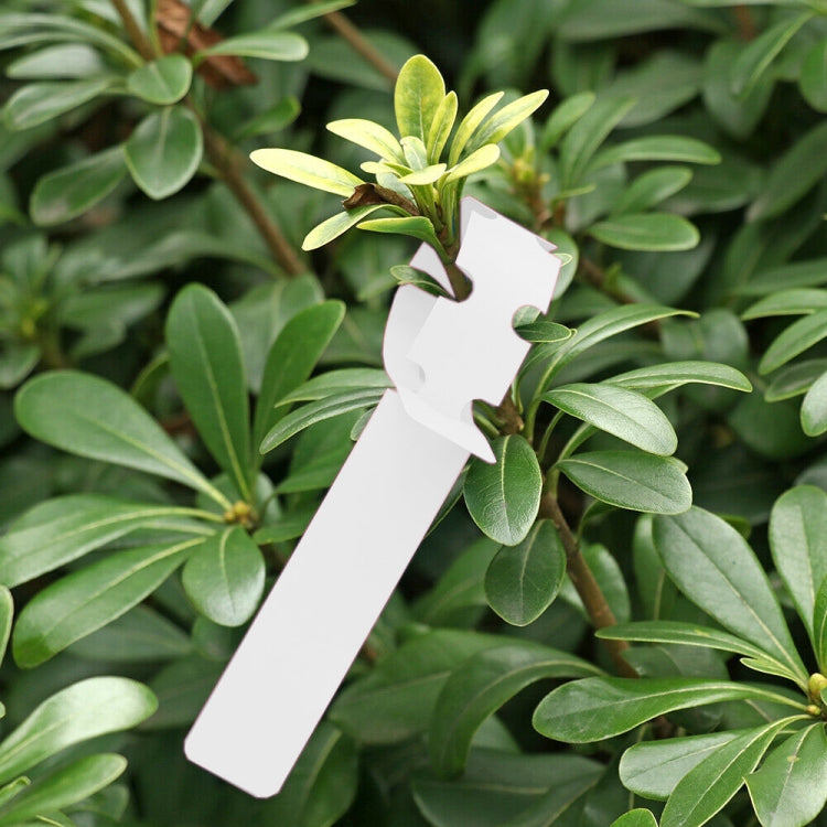 100 PCS Gardening Plant Sapling Seed Hanging Tree Label, Plant Label 5 White, Plant Label 5 Pink, Plant Label 5 Yellow