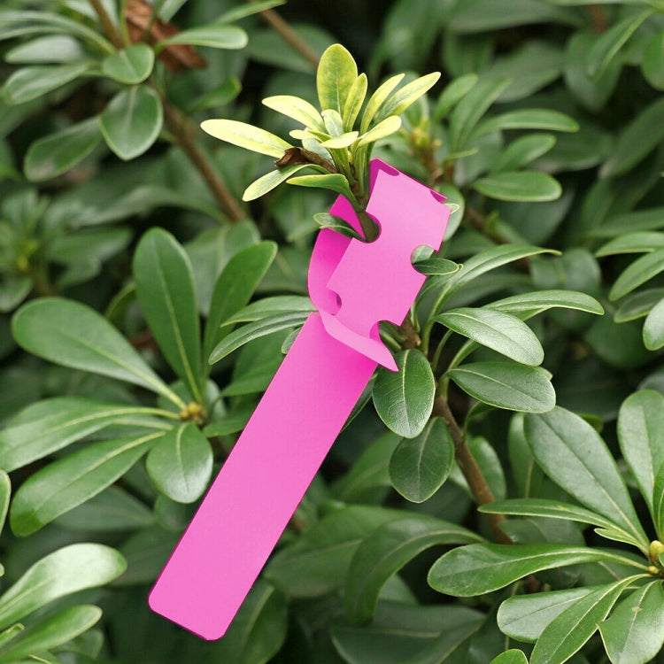 100 PCS Gardening Plant Sapling Seed Hanging Tree Label, Plant Label 5 White, Plant Label 5 Pink, Plant Label - View 8
