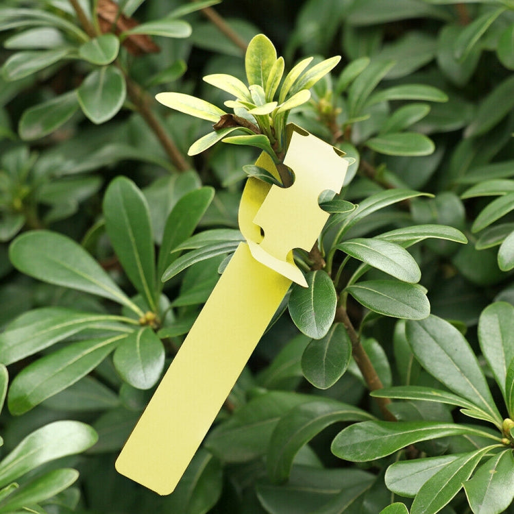 100 PCS Gardening Plant Sapling Seed Hanging Tree Label, Plant Label 5 White, Plant Label 5 Pink, Plant Label - View 9