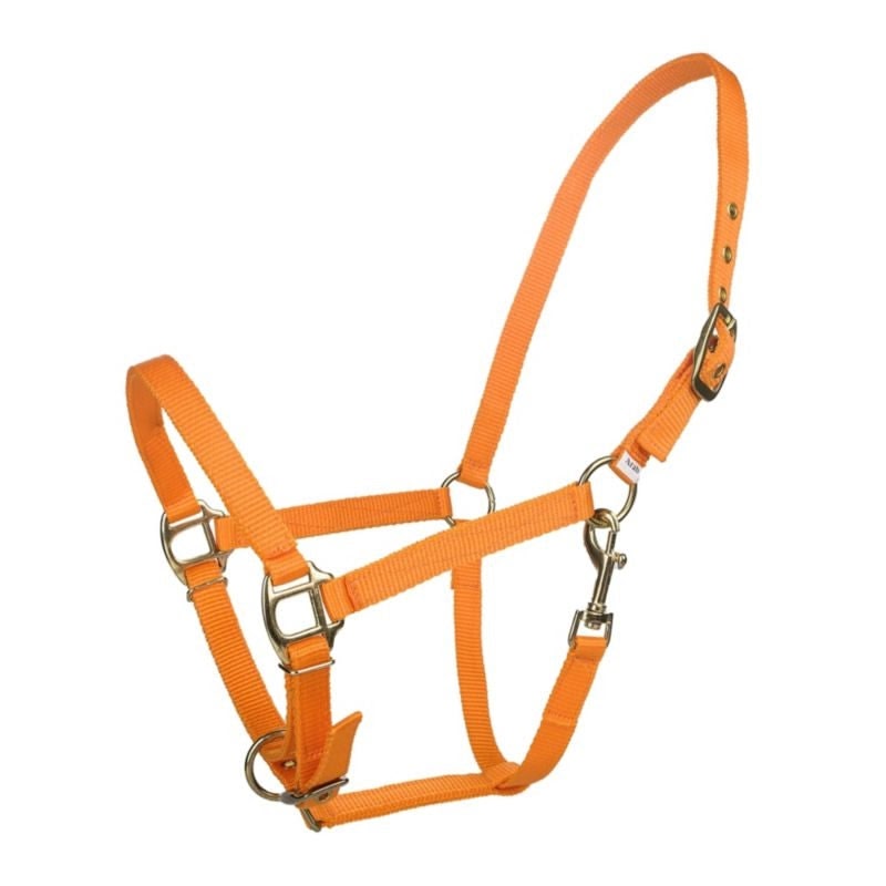 Tabelo Arab Nylon Halter with Snap - View 2