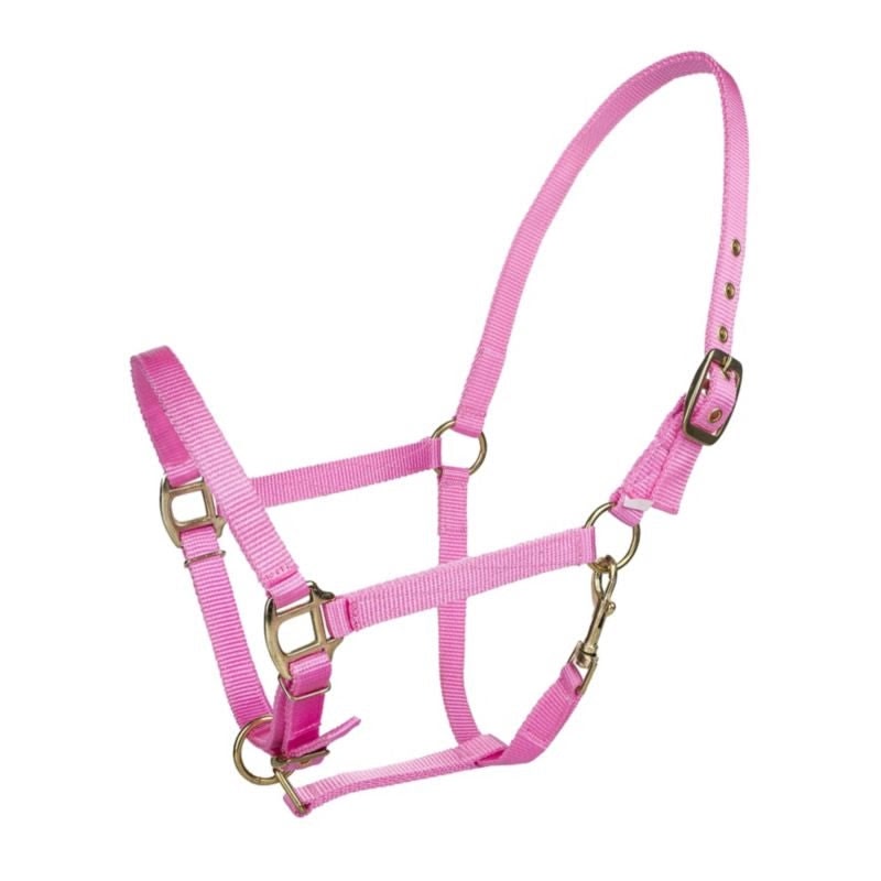 Tabelo Arab Nylon Halter with Snap - View 3