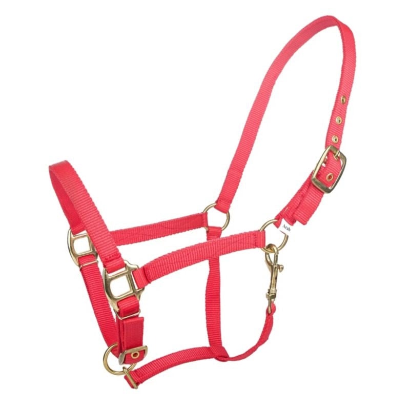 Tabelo Arab Nylon Halter with Snap - View 4