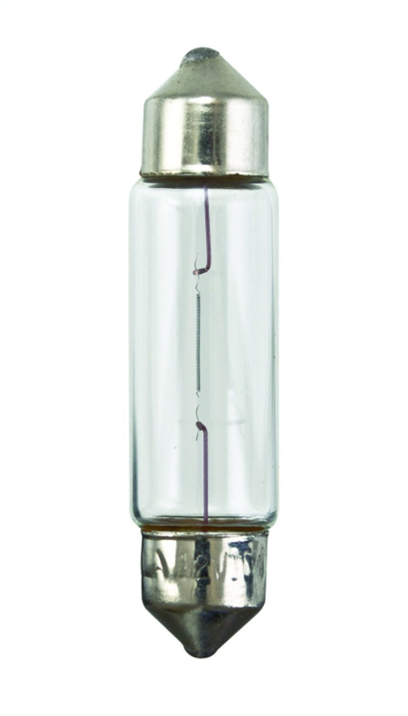 Hella Universal Clear 12V 10W 10x41mm T3.25 Bulb - View 3