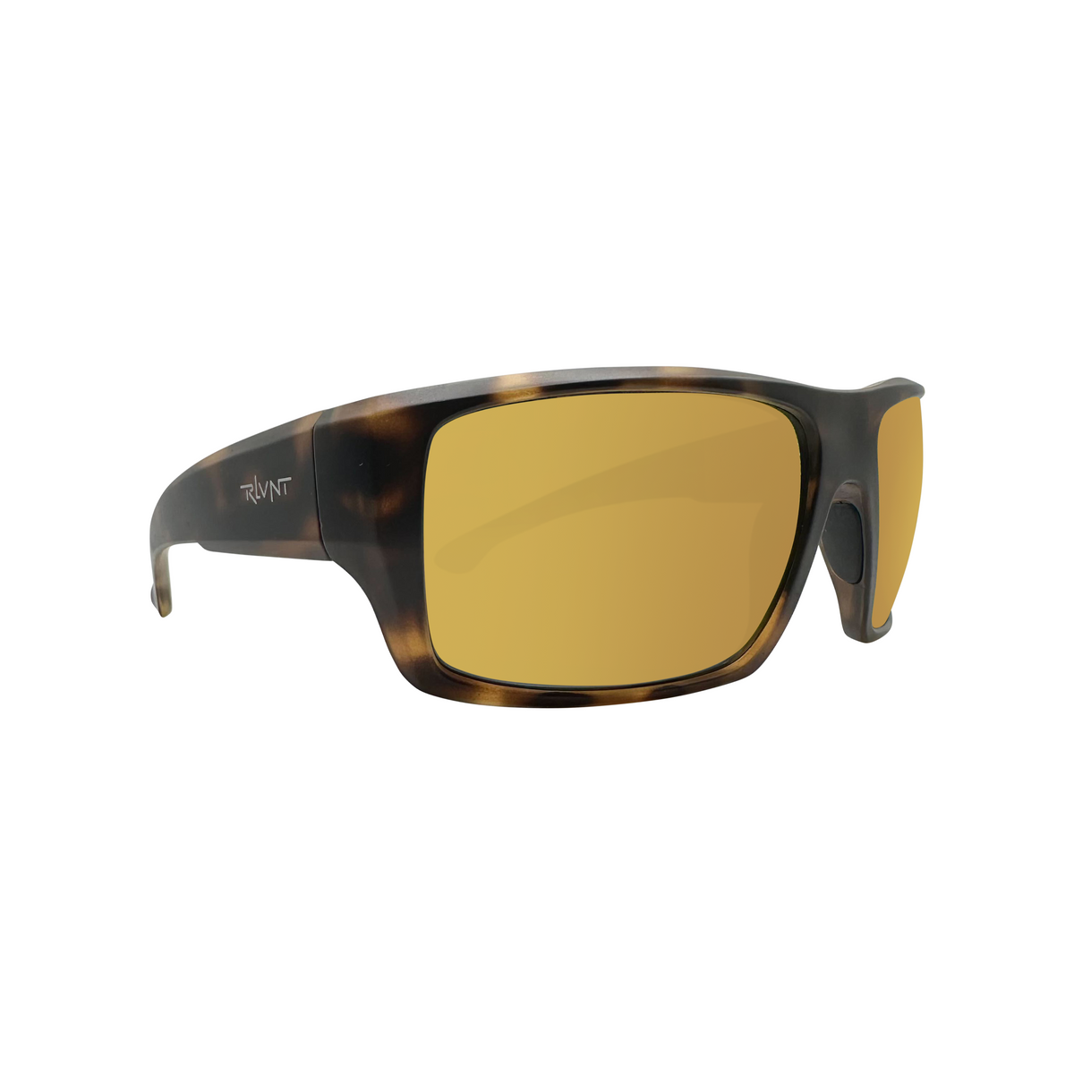 Buck - View 55