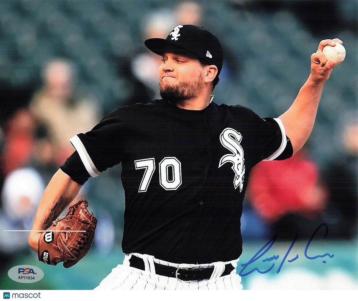 Elvis Araujo Chicago White Sox Signed Photo PSA