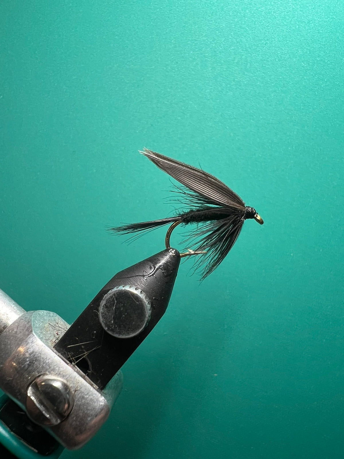 Black Gnat Wet