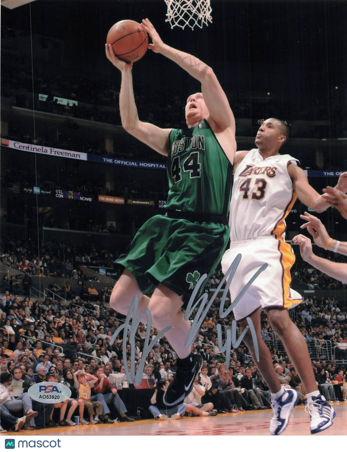 Brian Scalabrine Boston Celtics Signed Basketball 8x10 Photo PSA