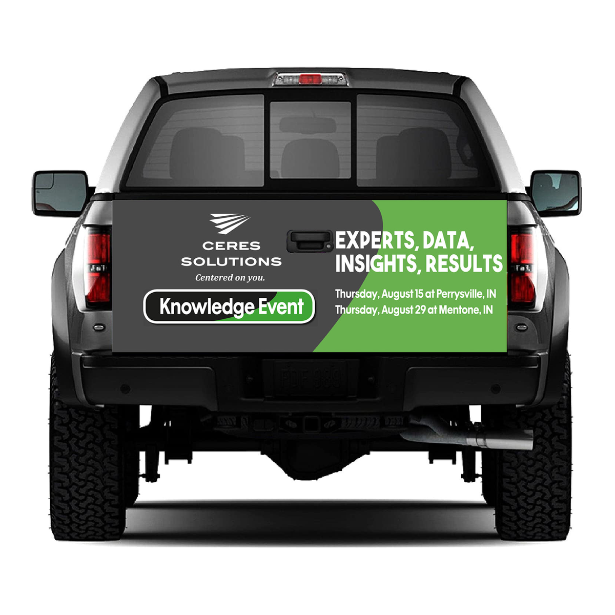 Custom Design Truck Tailgate Wrap Vinyl Graphic Decal Sticker product photo