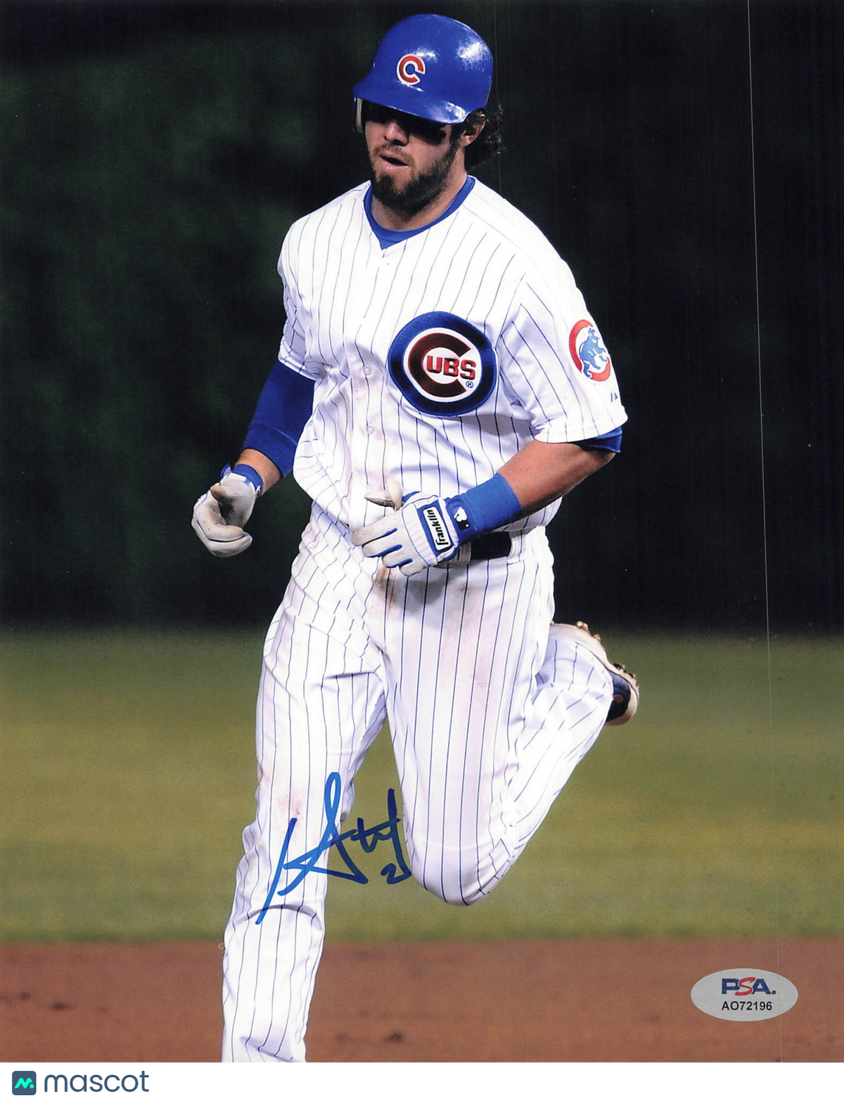 Ian Stewart Chicago Cubs Signed 8x10 Photo PSA