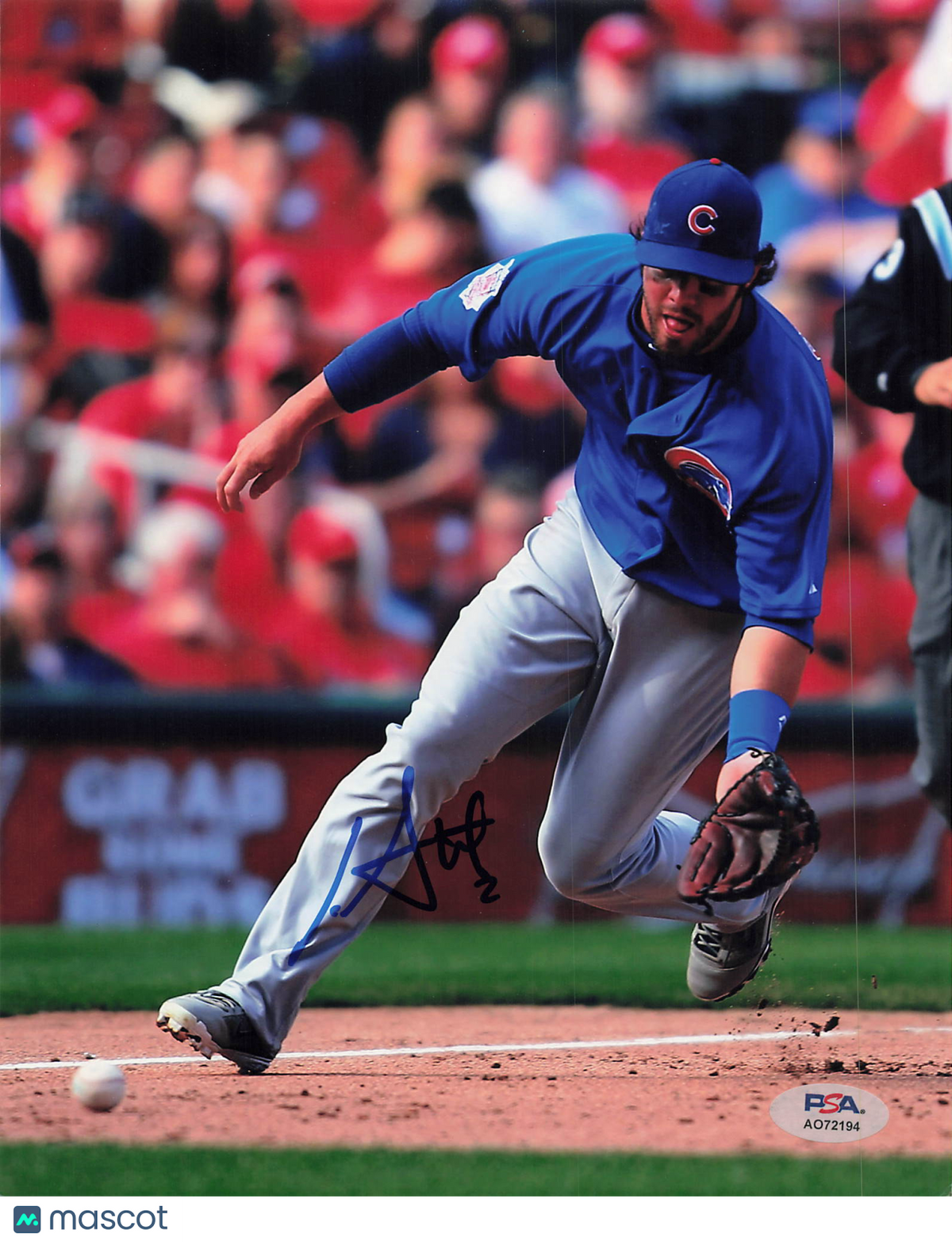 Ian Stewart Chicago Cubs Signed 8x10 Photo PSA