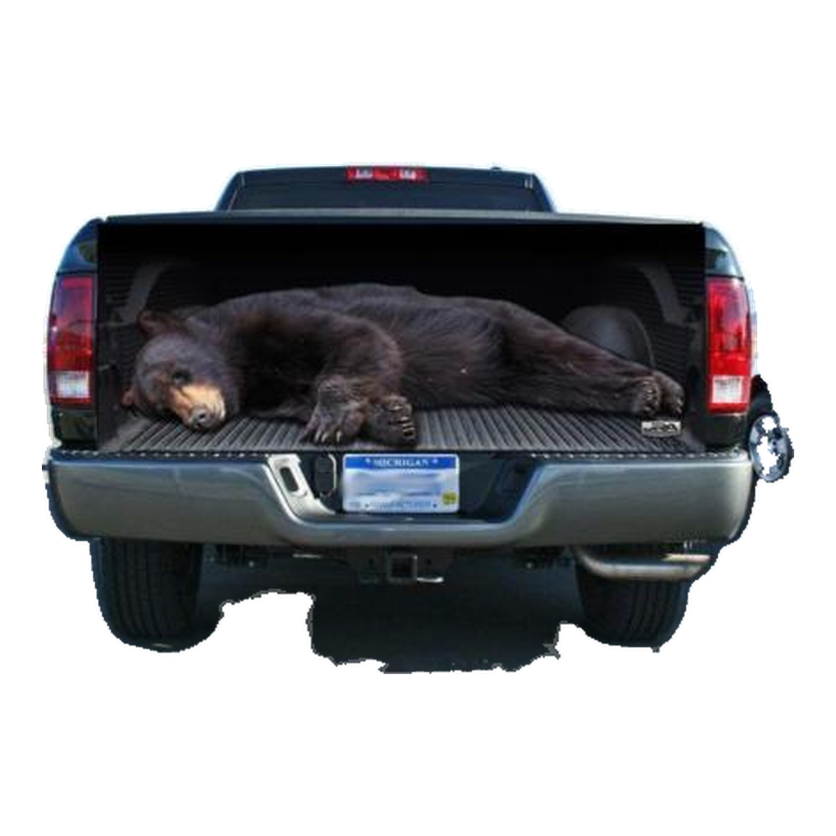 Full Size Black Bear Tailgate Wrap Decal product photo