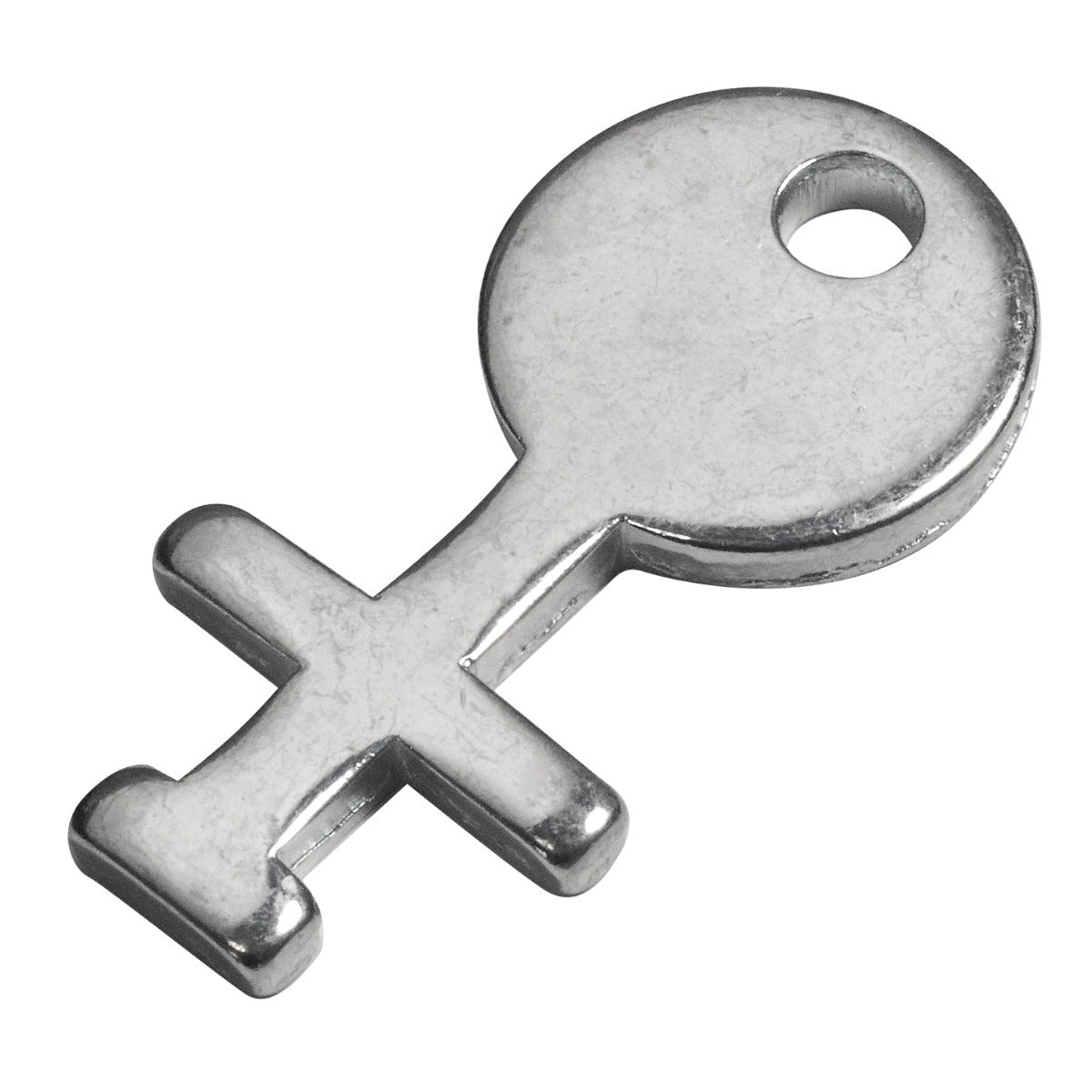Porter Athletic Blank Cover Removal Key COVR00080