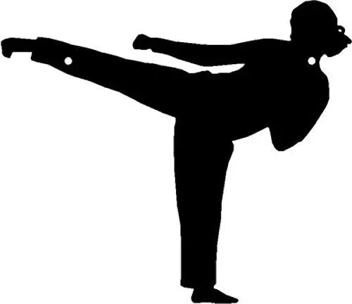 Karate Side Thrust Kick - Sport Silhouettes Wall Art