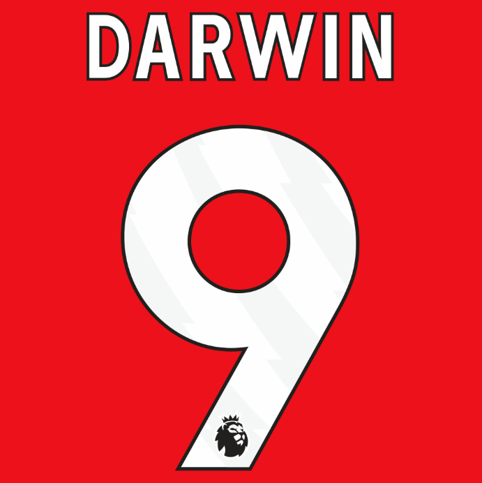 Liverpool 2023-Home DARWIN #9 Official Name Set-White