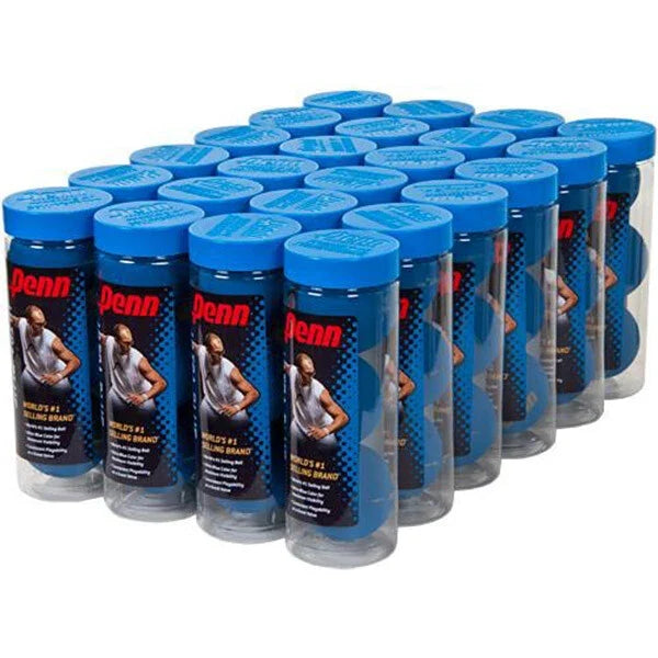 Penn Blue Racquetballs