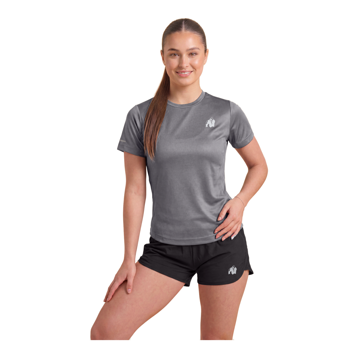 Raleigh T-Shirt - Gray product photo