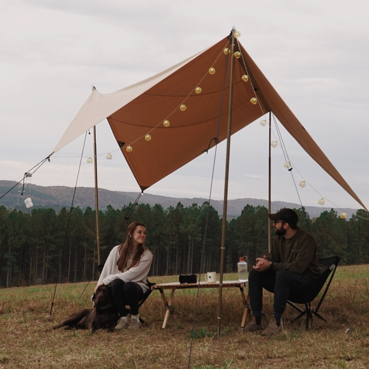 Sunshade Tarp 100