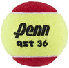 Penn | 521915 | QST 36 Tennis Balls | Youth - Great Call Athletics